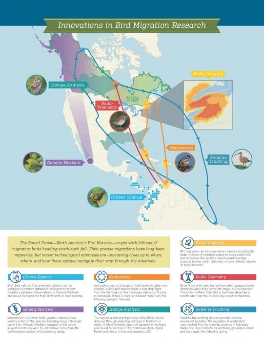 Mapping and technology
