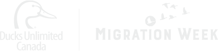Migration Week Logo
